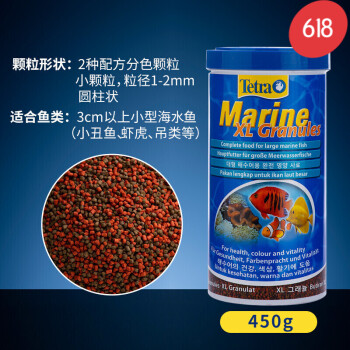 紅雙帶小丑魚_雙代小丑魚_雙帶小丑魚繁殖