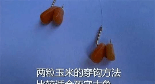 水庫釣大魚_釣水庫大魚實用技術_釣水庫大魚用什么樣的魚竿
