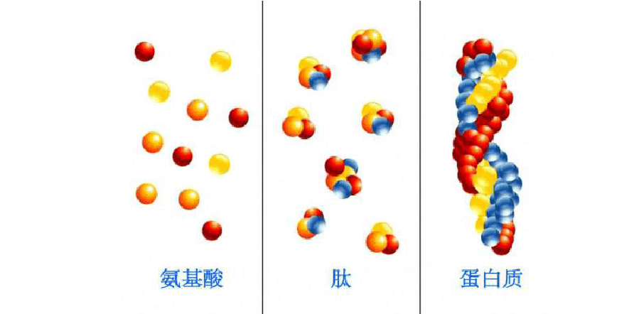 鲅拼音怎么讀_鲅魚讀音_鲅魚的拼音怎么讀