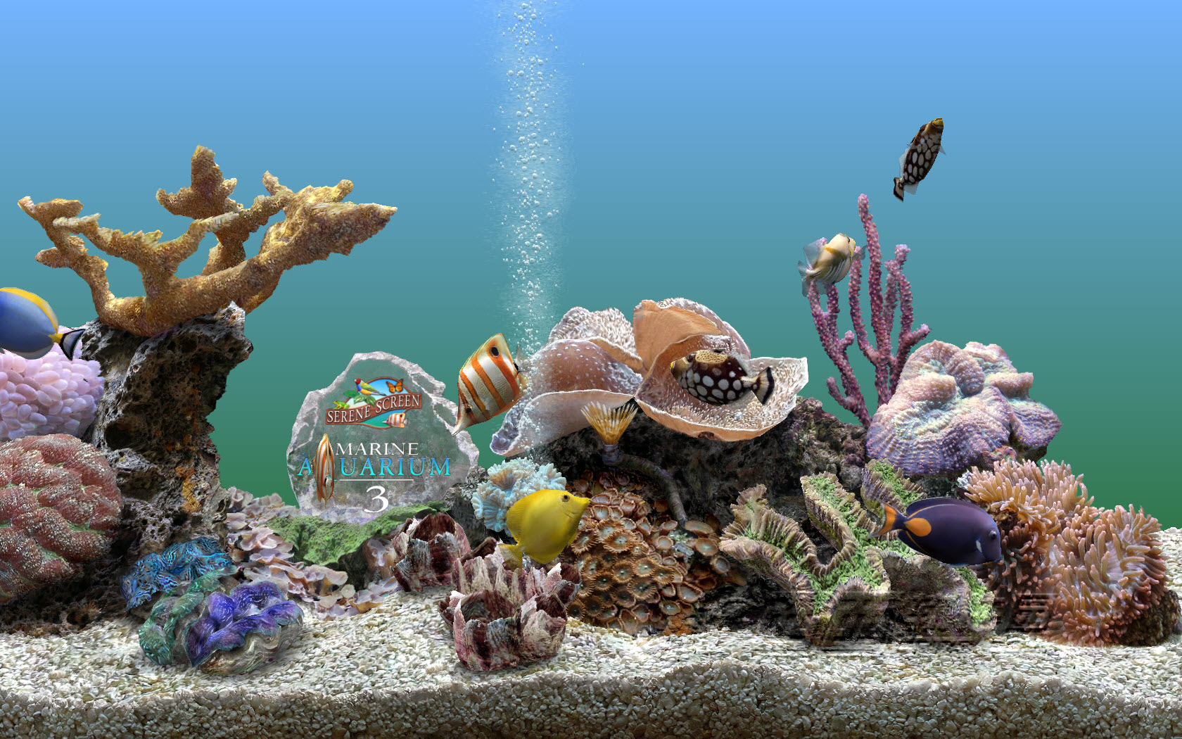 水族箱桌面_水族箱屏保_水族館屏保