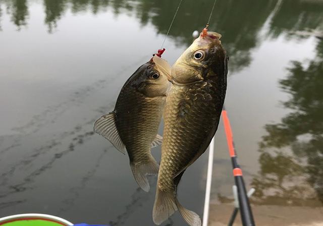 釣魚時間表_釣魚時間_釣魚時間的最佳時間