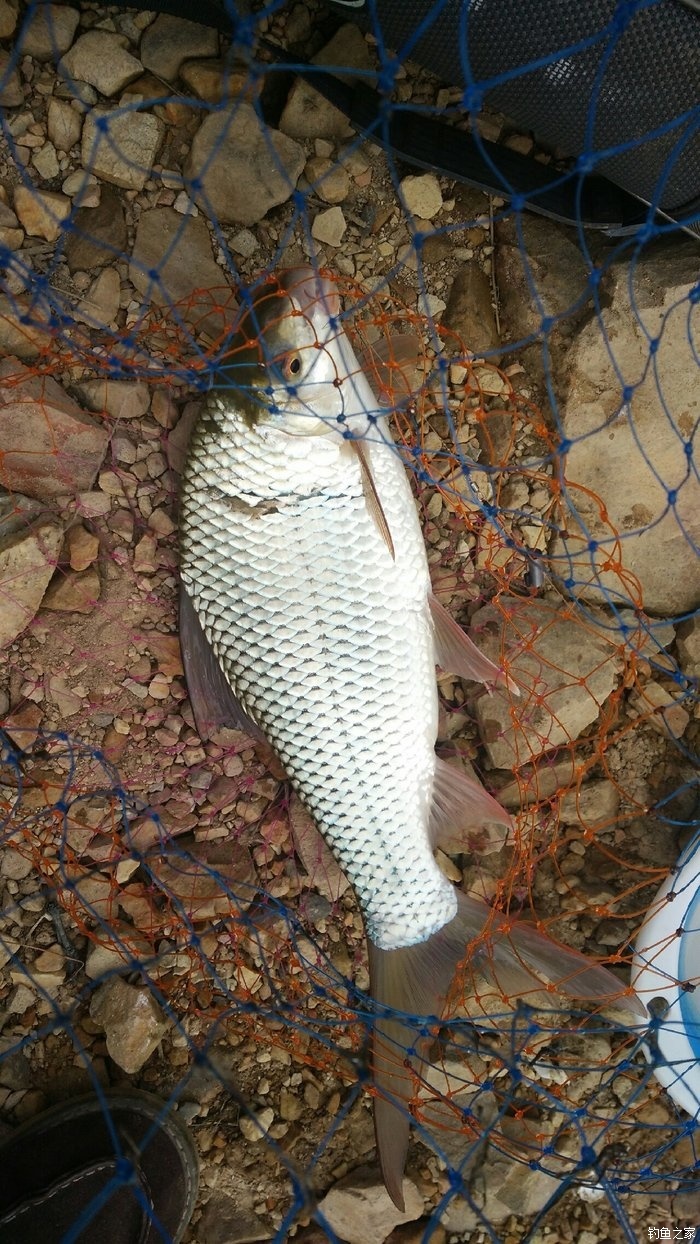 釣魚時間_釣魚時間的最佳時間_釣魚時間表
