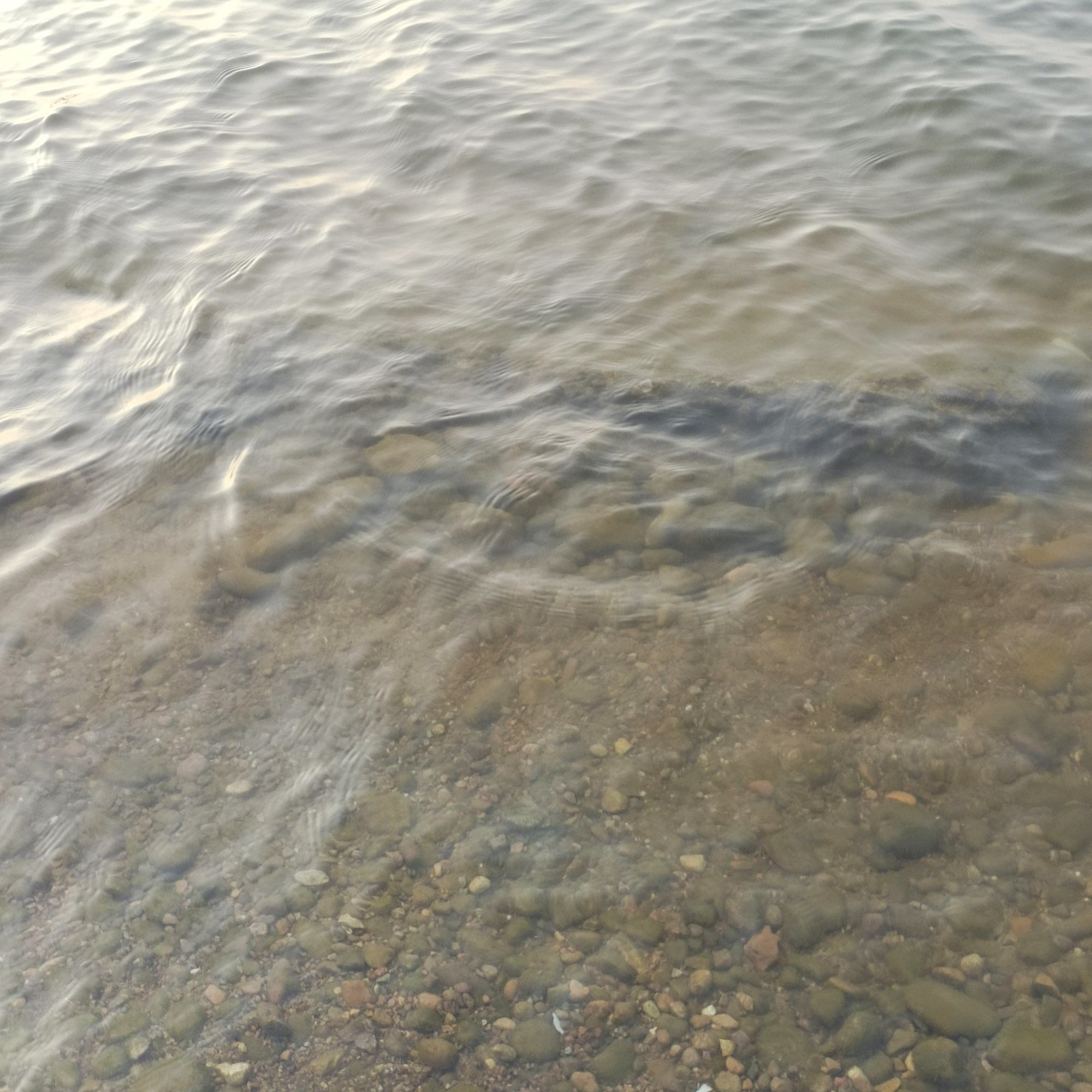 鯉魚噴泉_鯉魚噴泉造型_鯉魚噴泉設計圖