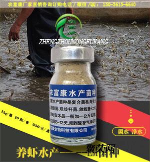 斑節對蝦價格_對蝦的價格_中華大對蝦價格