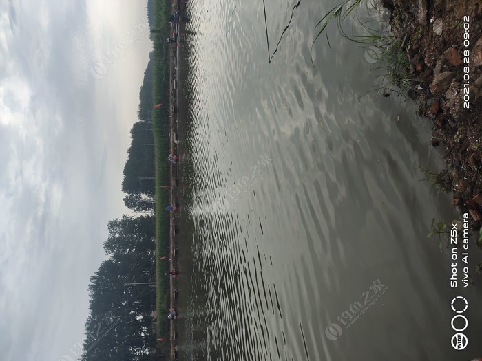 深圳免費釣魚水庫_江津釣魚水庫_水庫釣魚