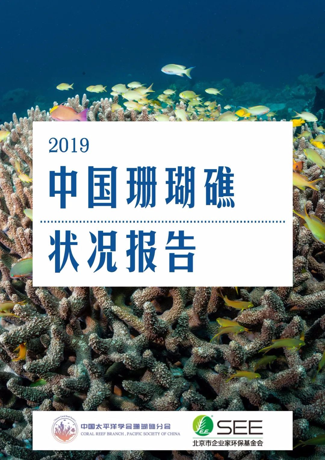 黑白關刀兩只能打架嗎_泰坦魚為什么不吃黑白關刀_黑白關刀