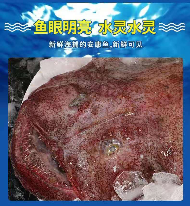 安康魚價格多少錢一斤最新行情_安康魚價格多少_安康魚價格