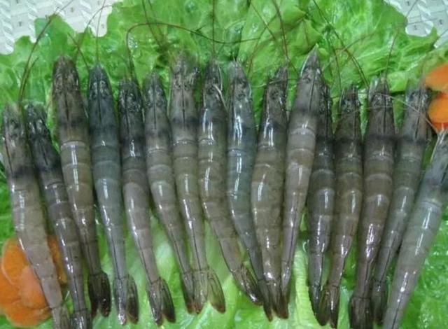 蝦頭有點發黑_蝦的頭變黑_蝦頭變黑