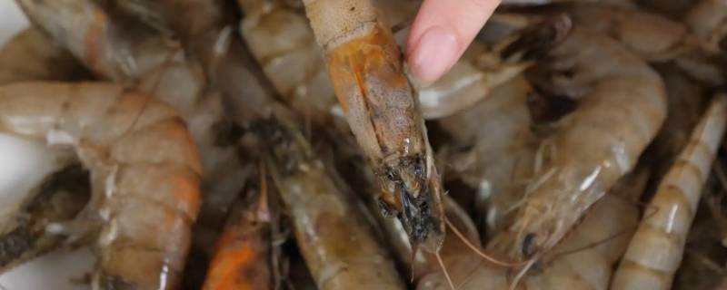 蝦頭有點發黑_蝦的頭變黑_蝦頭變黑
