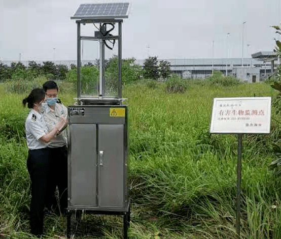 鱷雀鱔 關于《重點管理外來入侵物種名錄》制定的主要考慮和遴選依據