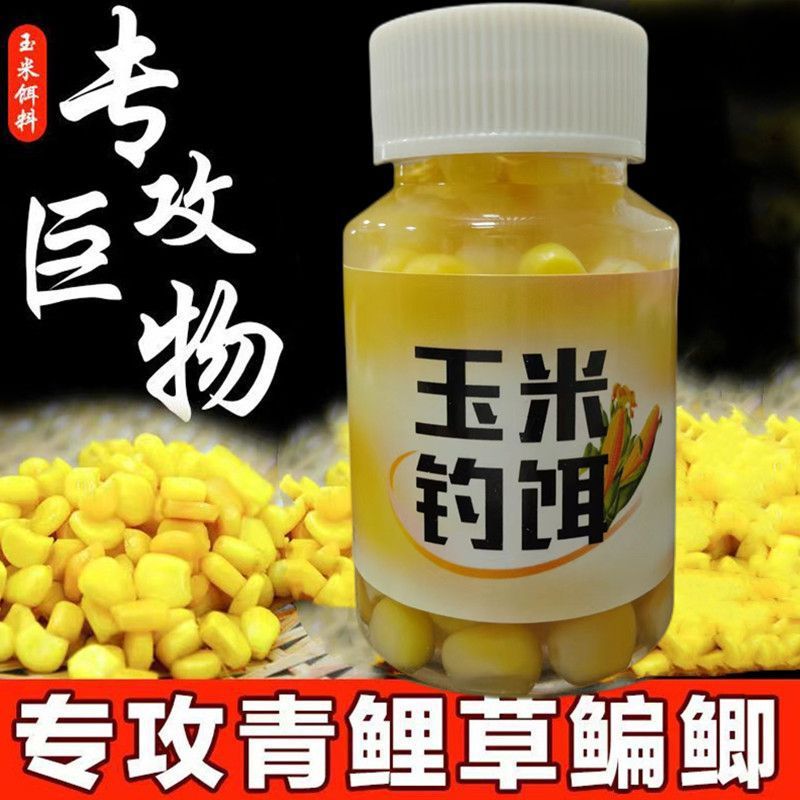 釣鯉魚餌用醪糟開餌用量多少_釣鯉魚用什么餌_釣鯉魚餌用草籽有哪些