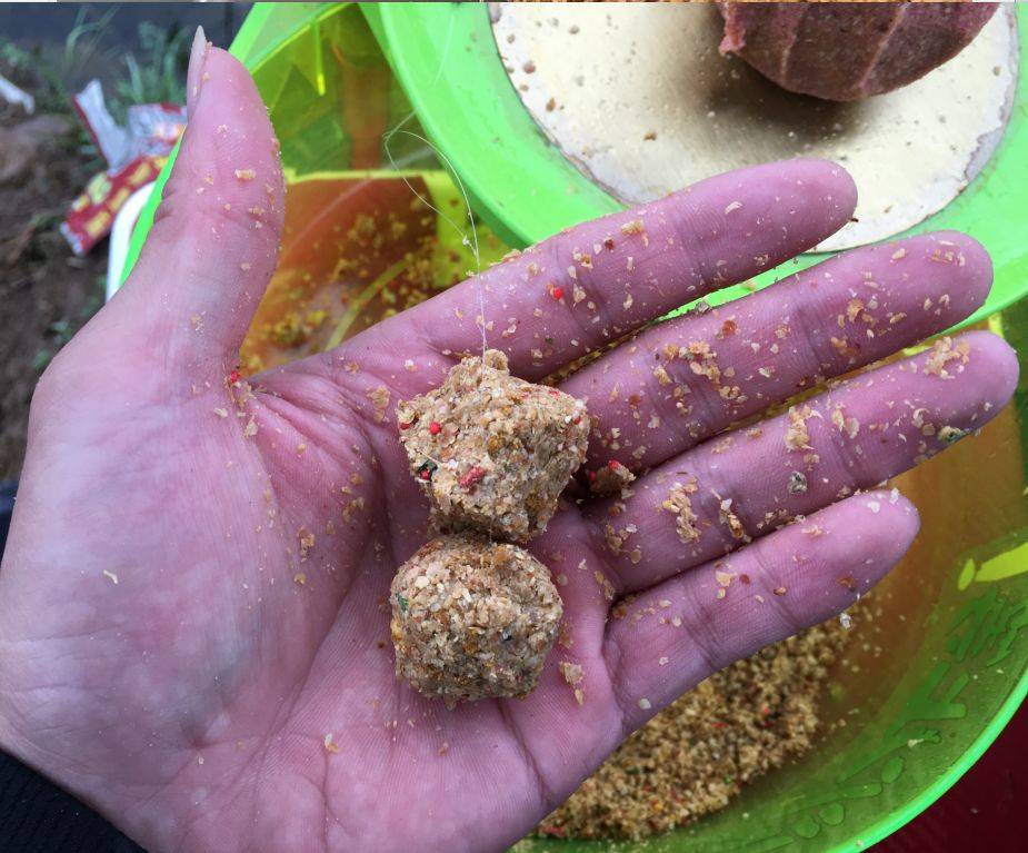 魚稀少怎么釣鯽魚野釣_鯽魚野釣圖片_野釣鯽魚