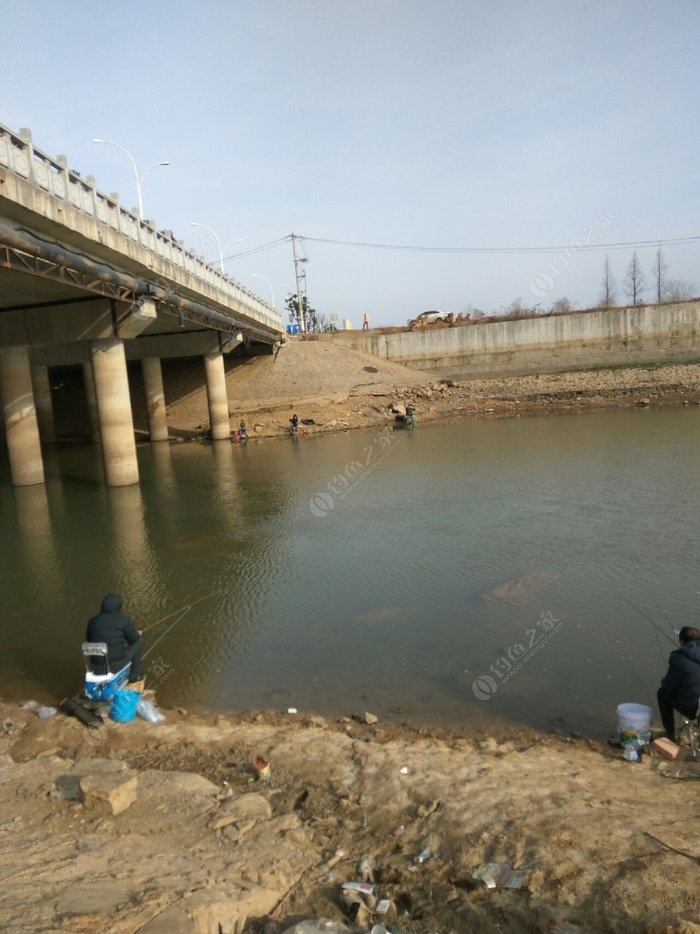 橋上經常有人釣魚但最近這些日子人特別多