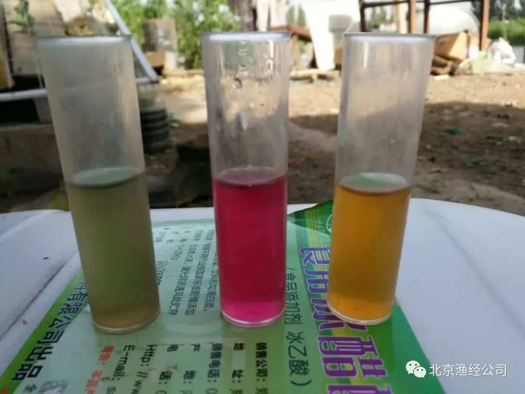 養魚技術_養魚技術培訓_養魚技術教程視頻