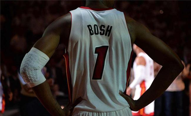 龍王波什_龍王波什簡介_nba龍王波什