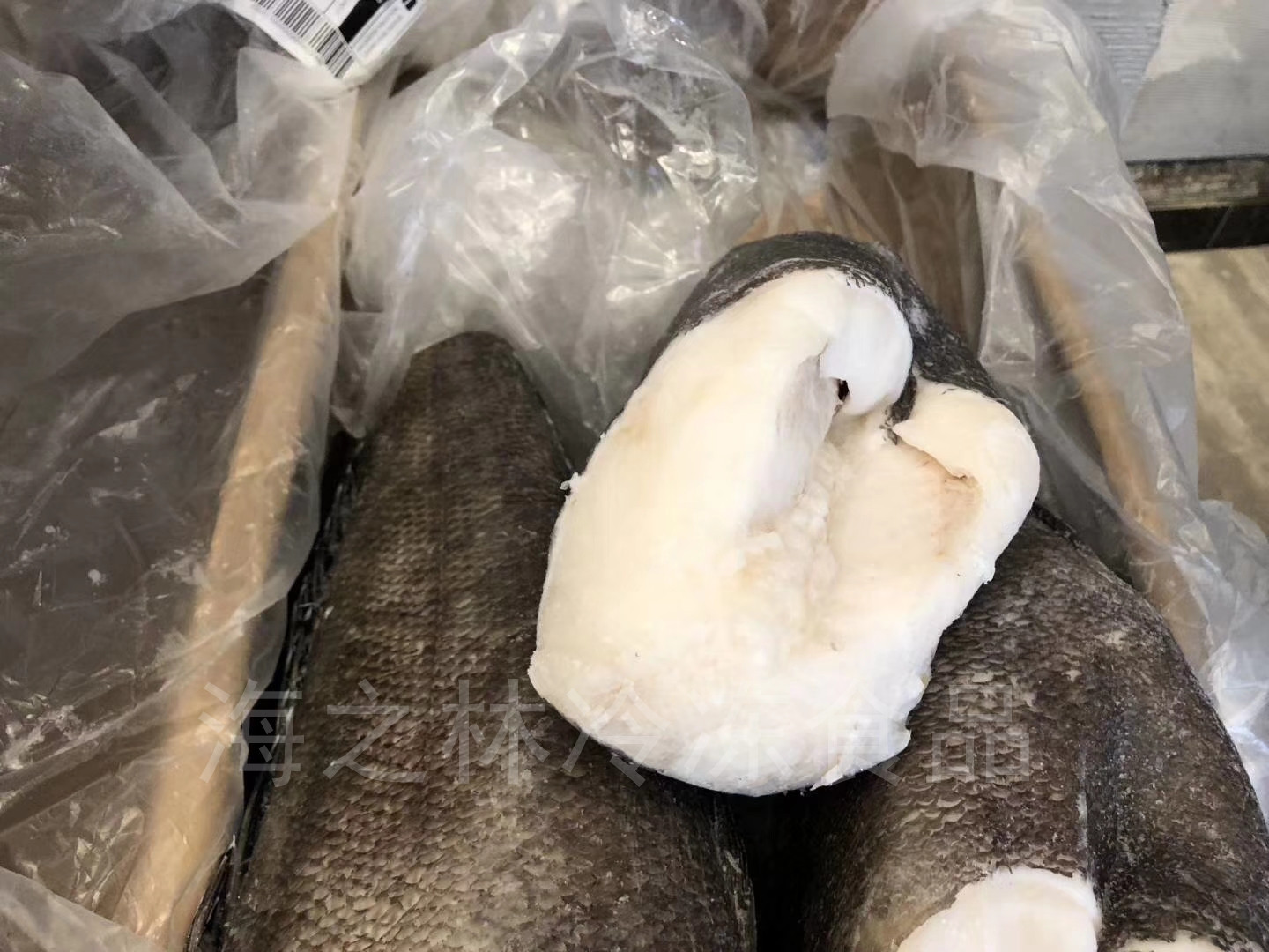 鱈魚價格為什么差別大_鱈魚價格_鱈魚價格及圖片大全