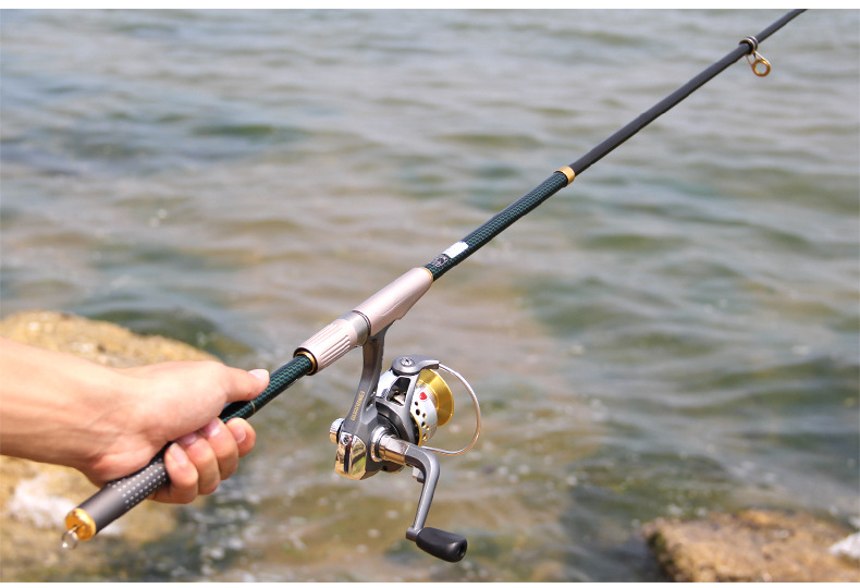 電子釣魚竿視頻_電子釣魚竿怎么釣魚_電子釣魚竿