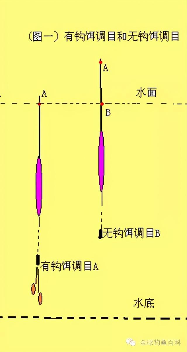 鯽魚浮漂哪個品牌好_鯽魚浮漂吃鉛多少合適_鯽魚浮漂