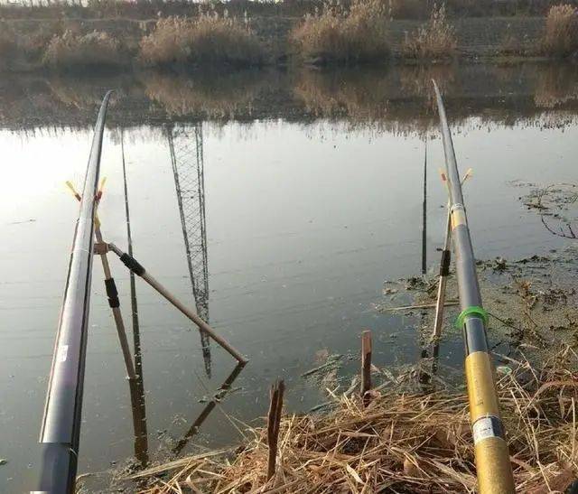 三本先生野河釣魚全集視頻釣魚超多視屏