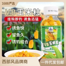配方魚餌制作方法視頻_魚餌配方大全自配_魚餌的制作方法和配方