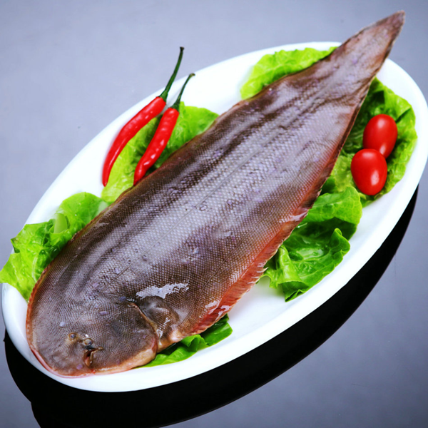 龍利魚價格2020_利龍魚是海魚嗎_龍利魚價格