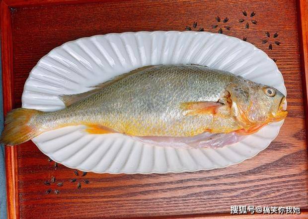 海魚黃花魚是涼性還是熱性_黃花魚是海魚嗎_黃花魚是海魚吧