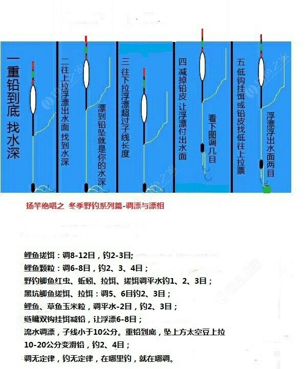 釣鯉魚調漂調幾目最佳_釣鯉魚調漂調幾目釣幾目最好_釣鯉魚如何調漂
