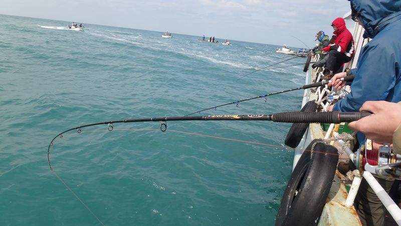 釣魚出海妖之淚的地方_出海釣魚_釣魚出海游戲