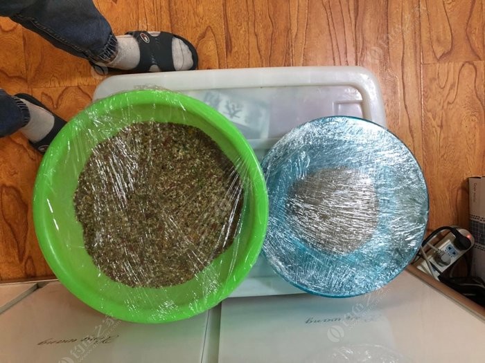 初冬釣草魚技巧_釣草魚技巧_怎樣釣草魚釣草魚技巧
