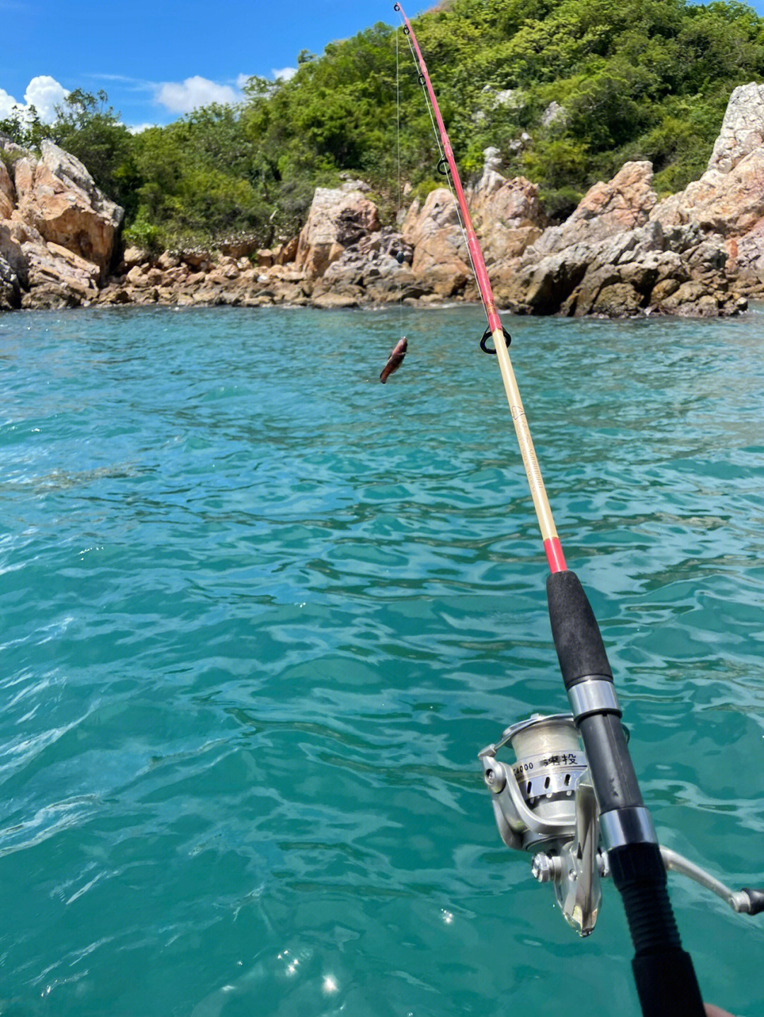 釣魚出海小油艇多少錢_出海釣魚_釣魚出海捕魚小說