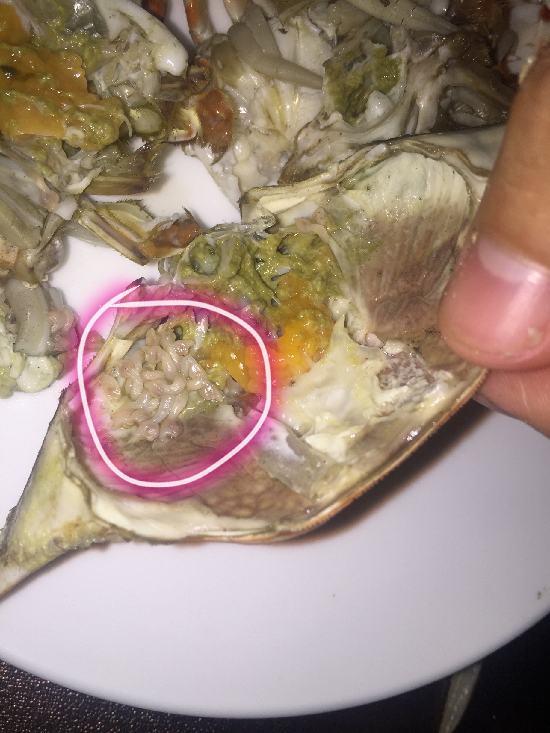 梭子蟹 蕭山一女網友買了幾只梭子蟹，剝開發現蟹腮上有密密麻麻“瘆人”的