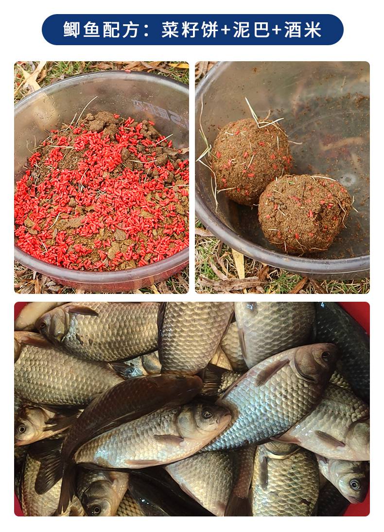 菜籽餅釣鰱鳙效果好嗎,配方有哪些常規