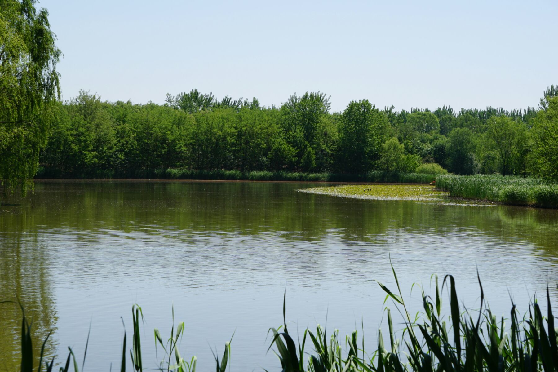漢石橋濕地保護區_漢石橋濕地_漢石橋濕地公園幾點開門