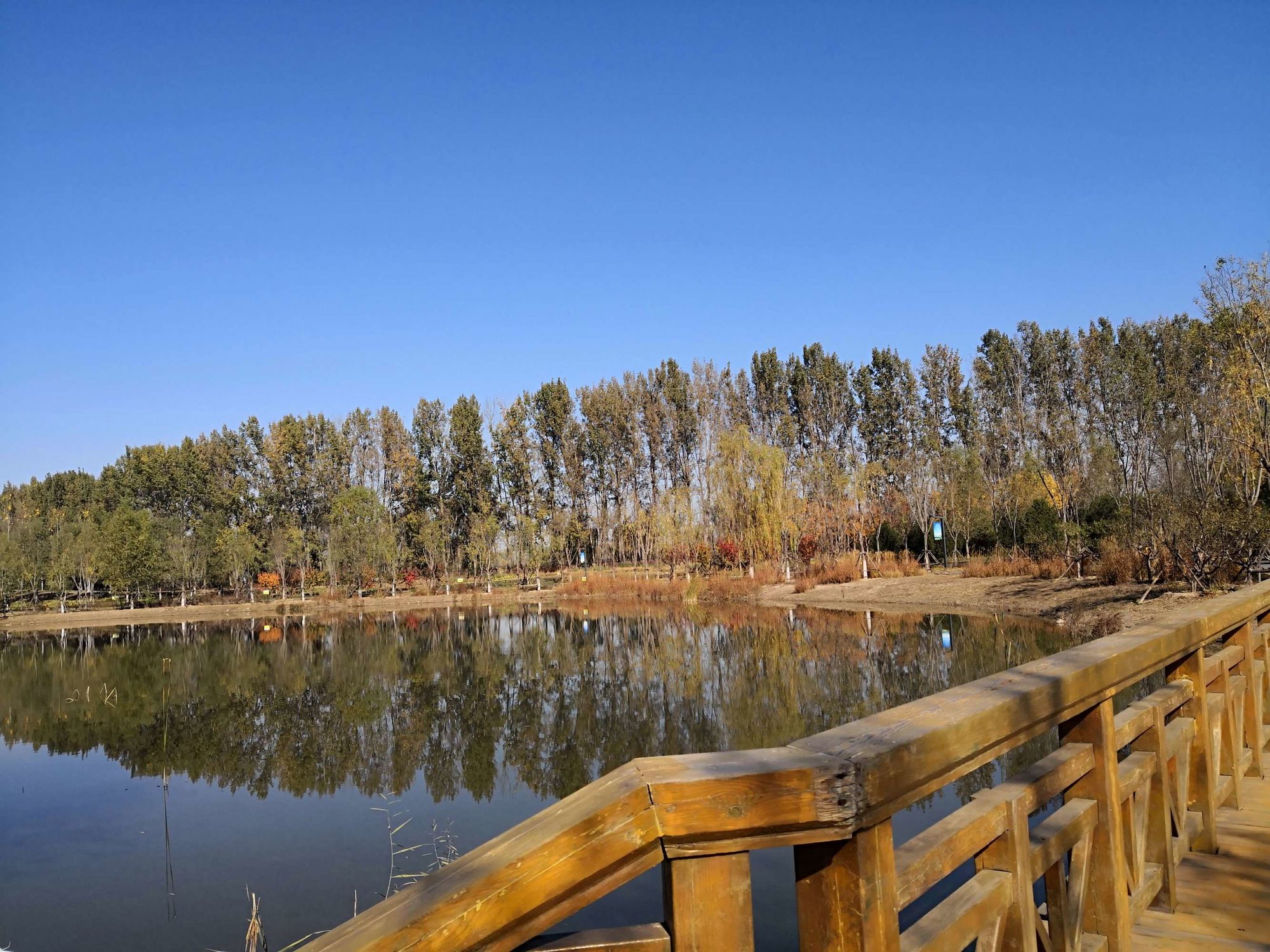 漢石橋濕地_漢石橋濕地公園幾點開門_漢石橋濕地保護區