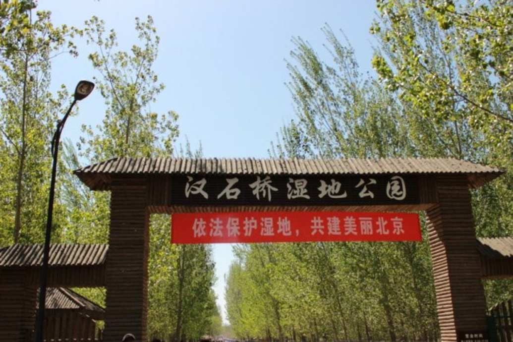 漢石橋濕地感受_漢石橋濕地_漢石橋濕地公園