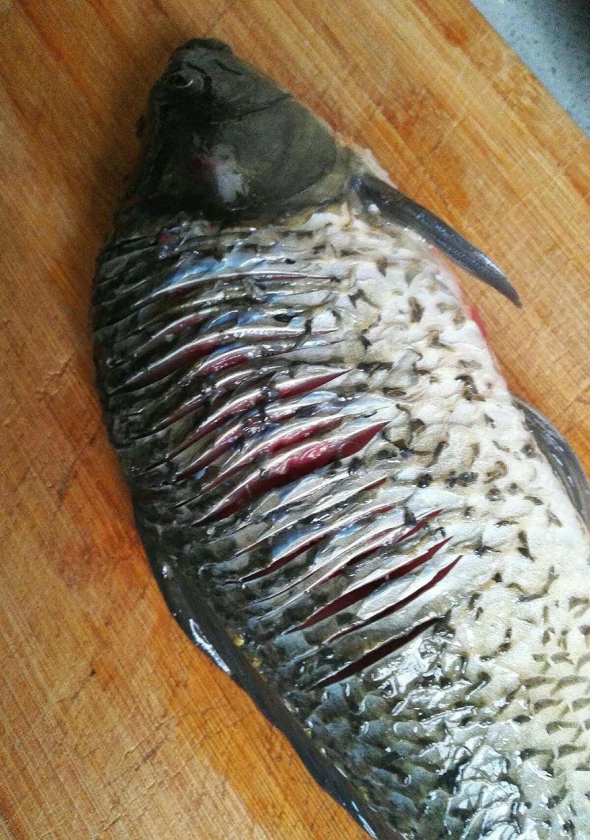 鯽魚刺多嗎_刺鯽魚怎么做_刺鯽魚圖片