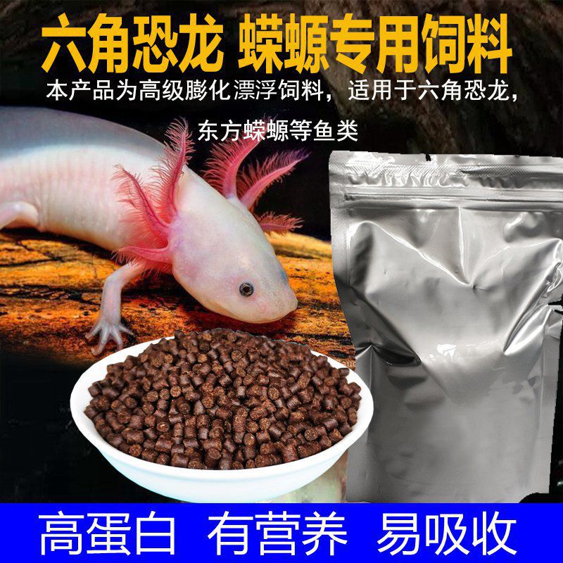 墨西哥鈍口螈_墨西哥鈍口螈_墨西哥鈍口螈