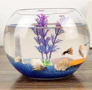 養魚養幾條好_養魚的條_養魚養幾條說法