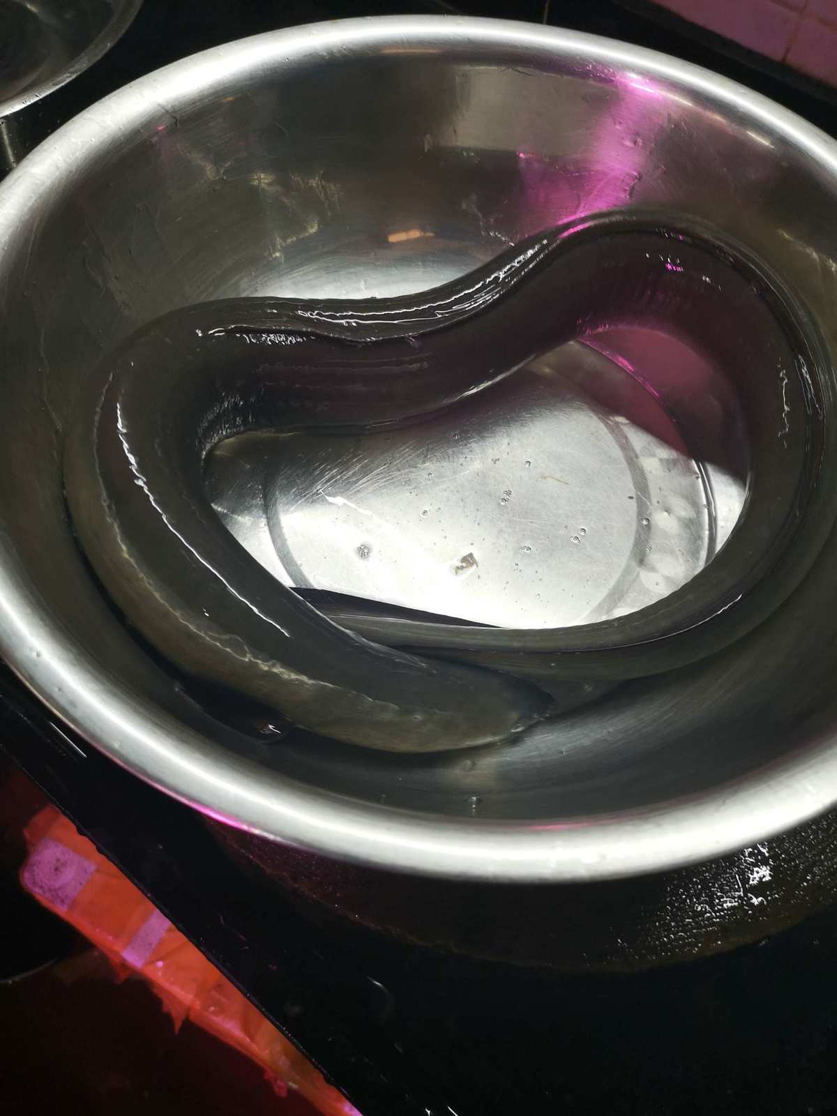 殺黃鱔的方法_黃鱔怎樣殺法_黃鱔殺的方法