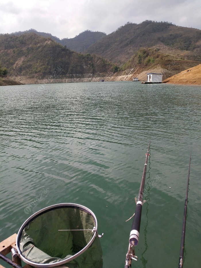 2021年丹江口水庫釣魚_丹江水庫釣魚用什么餌料好_丹江口水庫釣魚地點