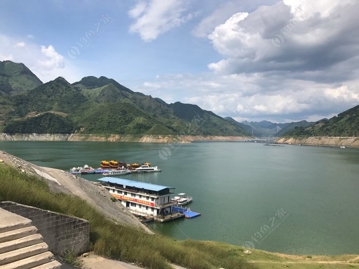 2021年丹江口水庫釣魚_丹江口水庫釣魚地點_丹江水庫釣魚用什么餌料好