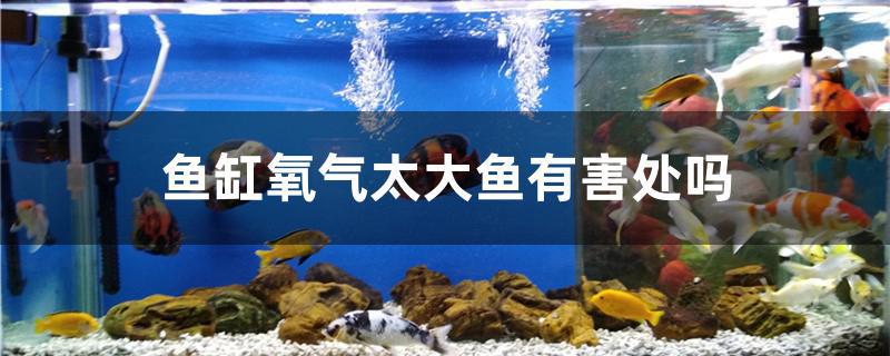 魚塘增氧機的工作原理_魚塘增氧機令人吃驚_魚塘增氧機