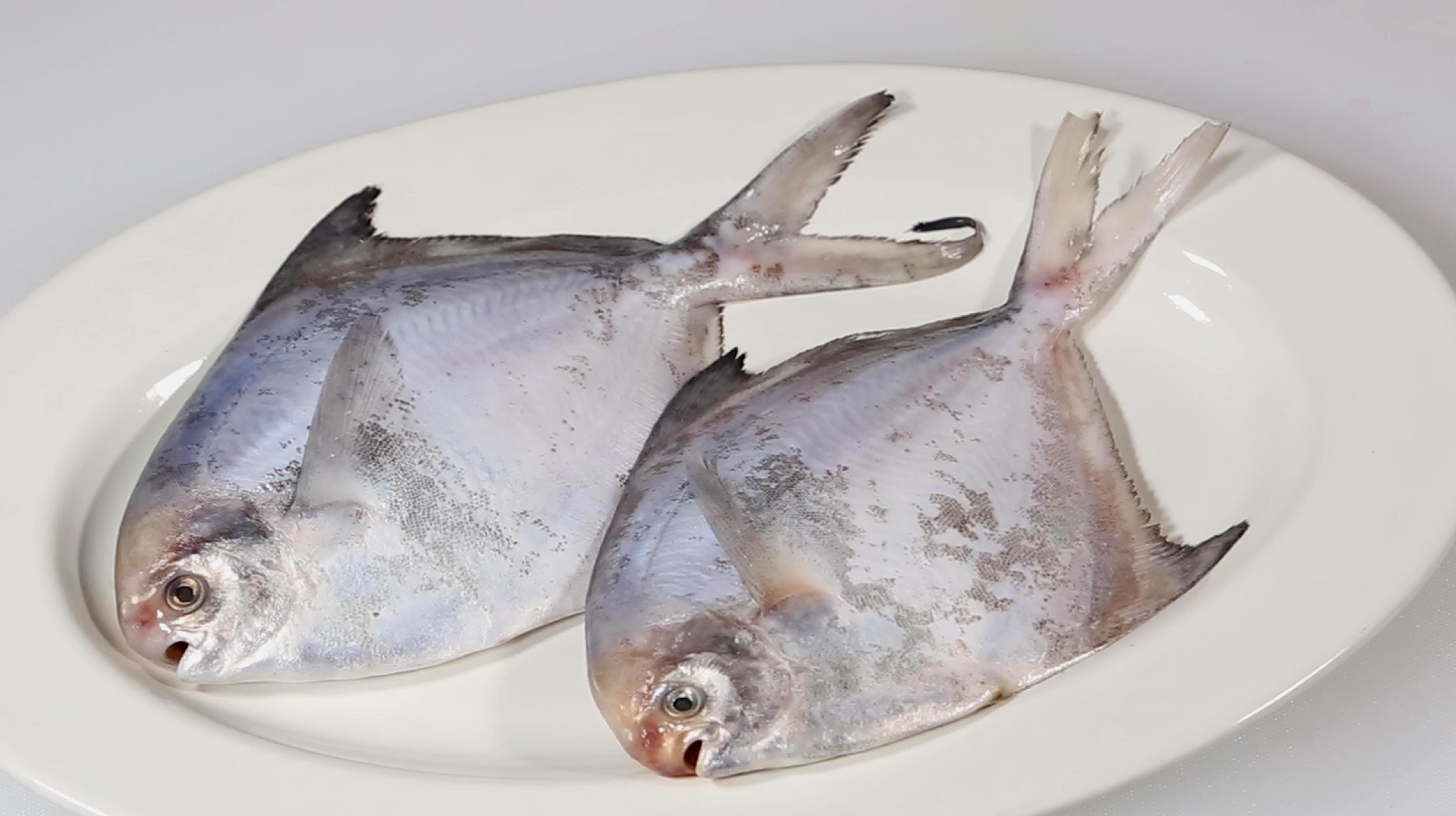 淡水白鯧魚價格多少錢一斤_淡水白鯧魚怎么做好吃_淡水白鯧