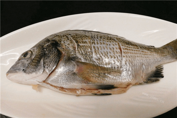 海鯽魚又叫什么魚_海鯽魚別稱_鯽魚海里