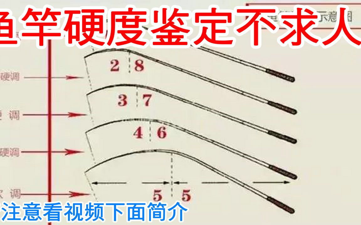 雷強釣法路亞精神_雷強釣法_雷強釣法釣鯉魚視頻