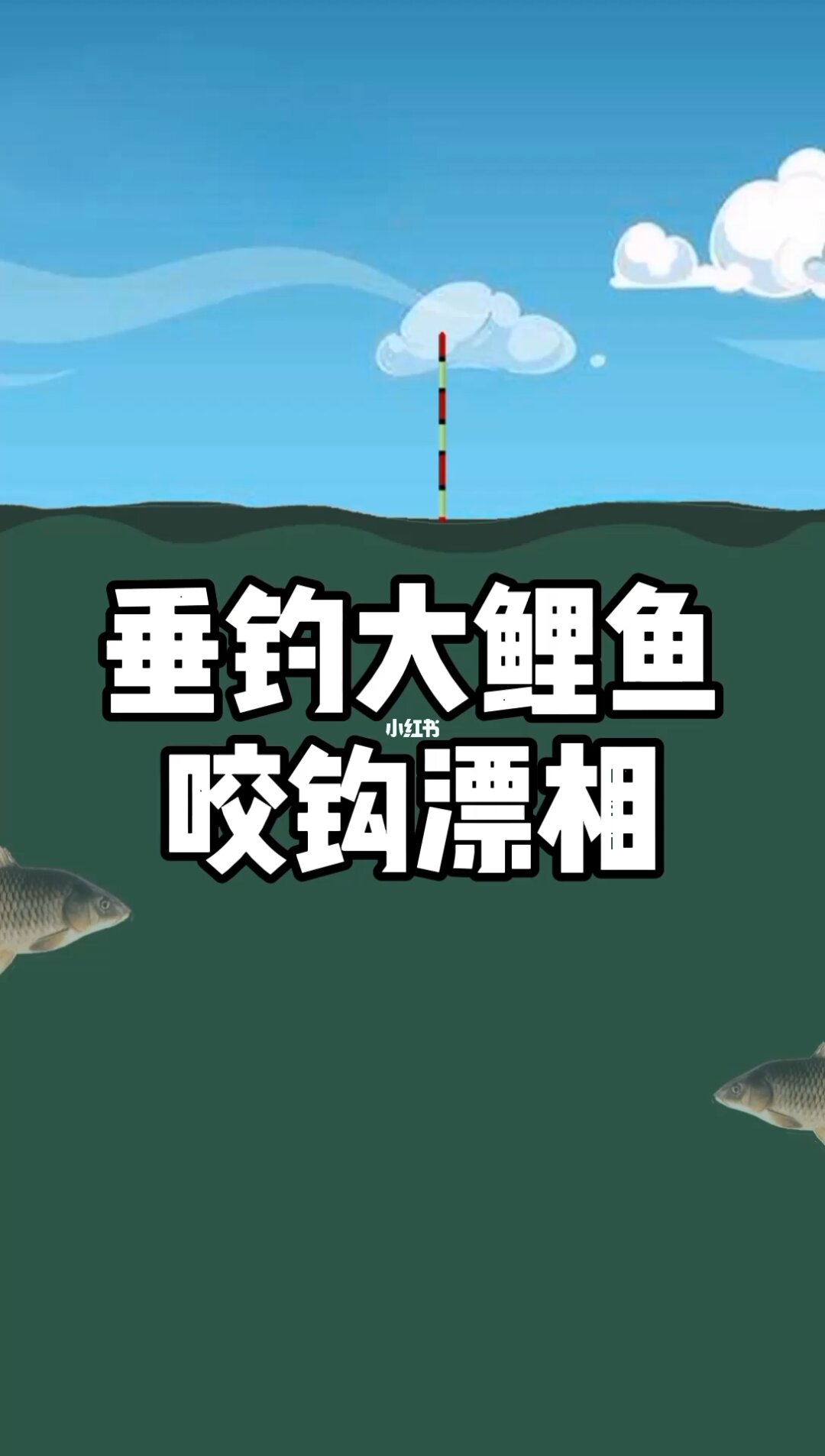 冬天野釣鯉魚技巧_淺水釣鯉魚技巧_釣鯉魚技巧