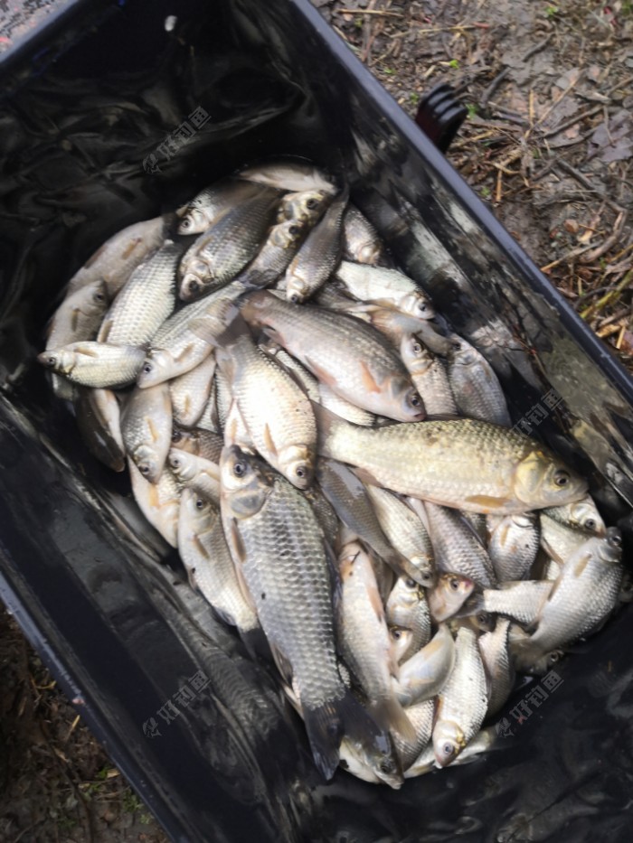 釣魚陰天釣底還是釣浮_釣魚陰天看不清漂用什么眼鏡_陰天釣魚