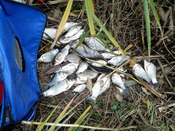 釣魚陰天看不清漂用什么眼鏡_陰天釣魚_釣魚陰天釣底還是釣浮
