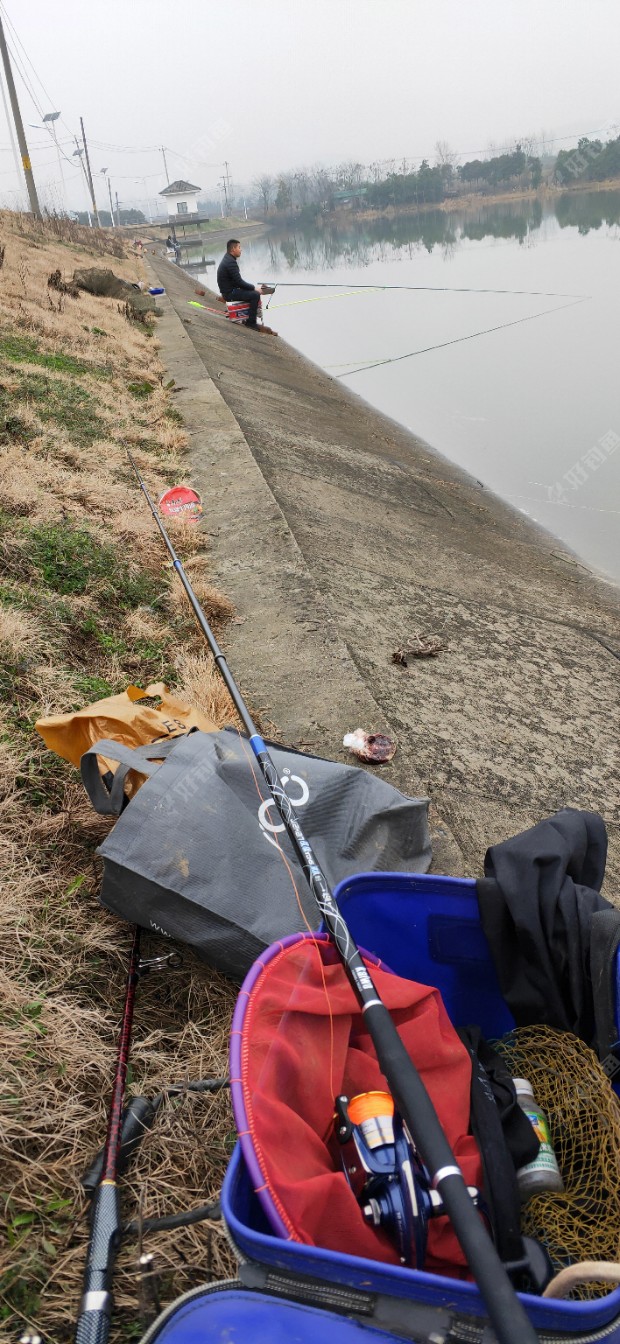 陰天釣魚_釣魚陰天釣底還是釣浮_釣魚陰天好還是晴天好