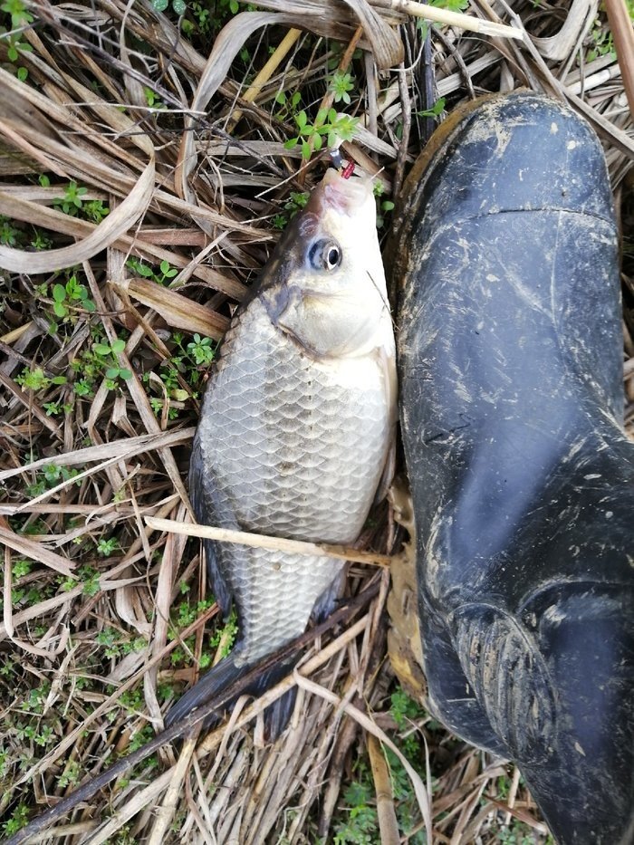 釣魚陰天看不清漂用什么眼鏡_釣魚陰天釣什么地方_陰天釣魚